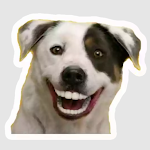 Cover Image of ดาวน์โหลด Dog Stickers for WA - Sticker 1.8 APK