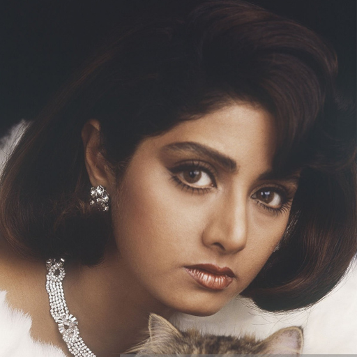 Sridevi -Movies ,Wallpapers logo