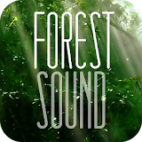 FOREST SOUND - Sound Therapy icon