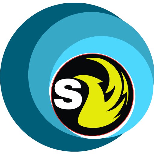 Sokey&Cynthia Global Telecomms logo