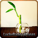 Lucky Bamboo Vases icon