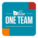 Virgin Pulse One Team 2017 icon