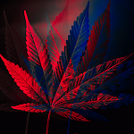 Cover Image of Download Weed wallpapers Neon Weed Live 4 APK