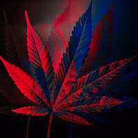 Weed wallpapers Neon Weed Live