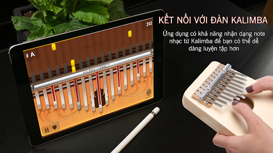 Kalimba Connect