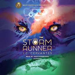 Значок приложения "The Storm Runner"