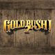 Gold Rush! 2