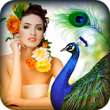 Peacock Photo Editor icon
