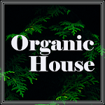 Cover Image of Download Organic House Ringtones  APK