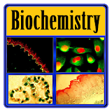 Basic Biochemistry icon