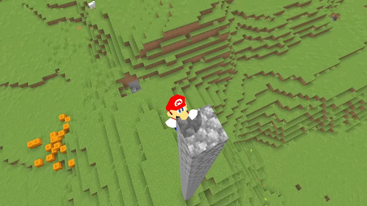 Super Mod For Mario Minecraft