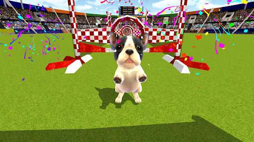 Princess Cute Puppy Show - Pup