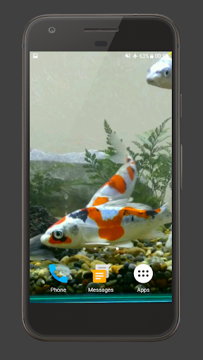 Android application Koi Fish Tank Video Wallpaper screenshort