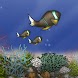 Fish Tycoon Lite - Androidアプリ