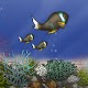 Fish Tycoon Lite Download on Windows