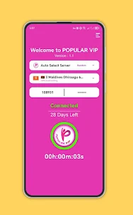 Popular VIP VPN