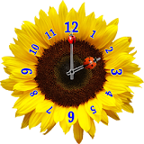 Flower Clock Widget icon