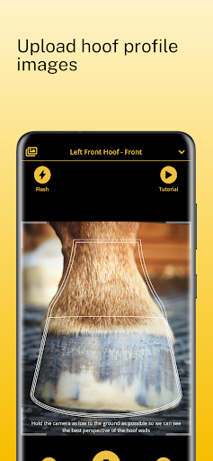 Scoot Boots - Hoof Sizer Screen 2