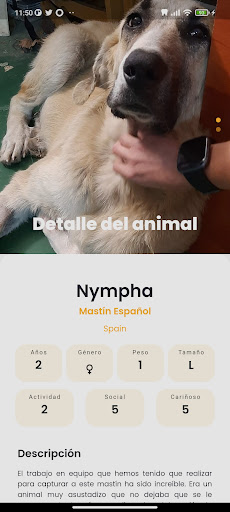 Amazdog Screen 3