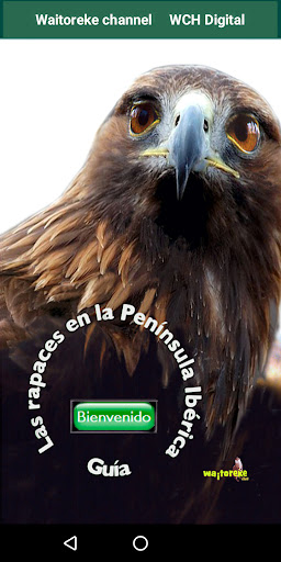 Android application Rapaces Iberia (Guía) screenshort