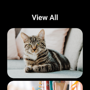 KakaoTalk : Messenger Varies with device screenshots 11