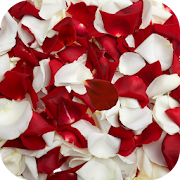 Top 40 Personalization Apps Like Rose petals Live Wallpaper - Best Alternatives