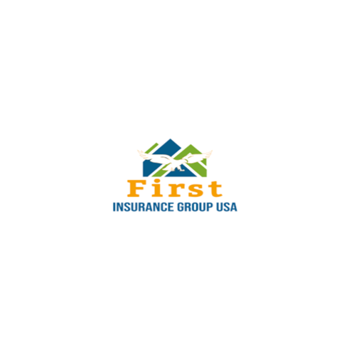 First Insurance Group USA Inc. logo