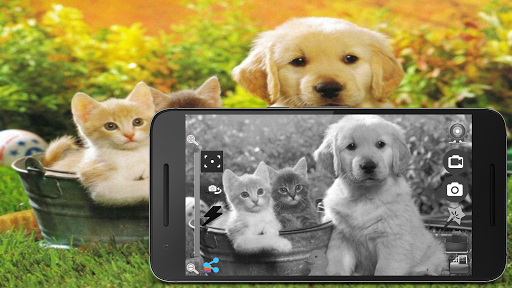 Android application Black and White Camera screenshort
