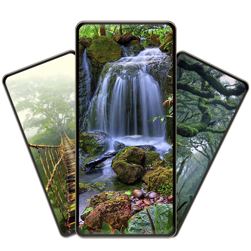 Rainforest Wallpapers HD logo