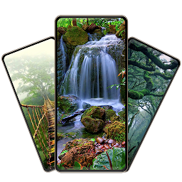 Icon image Rainforest Wallpapers HD