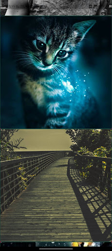 hermosos fondos de pantalla Screen 3