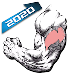Cover Image of Download Gym Exercises & Workouts 3.31 APK