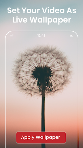 Android application Video Wallpaper Maker HD screenshort