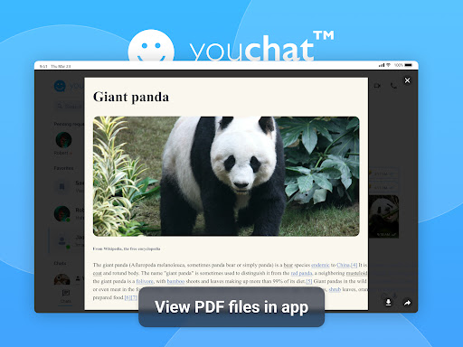 YouChat2.0