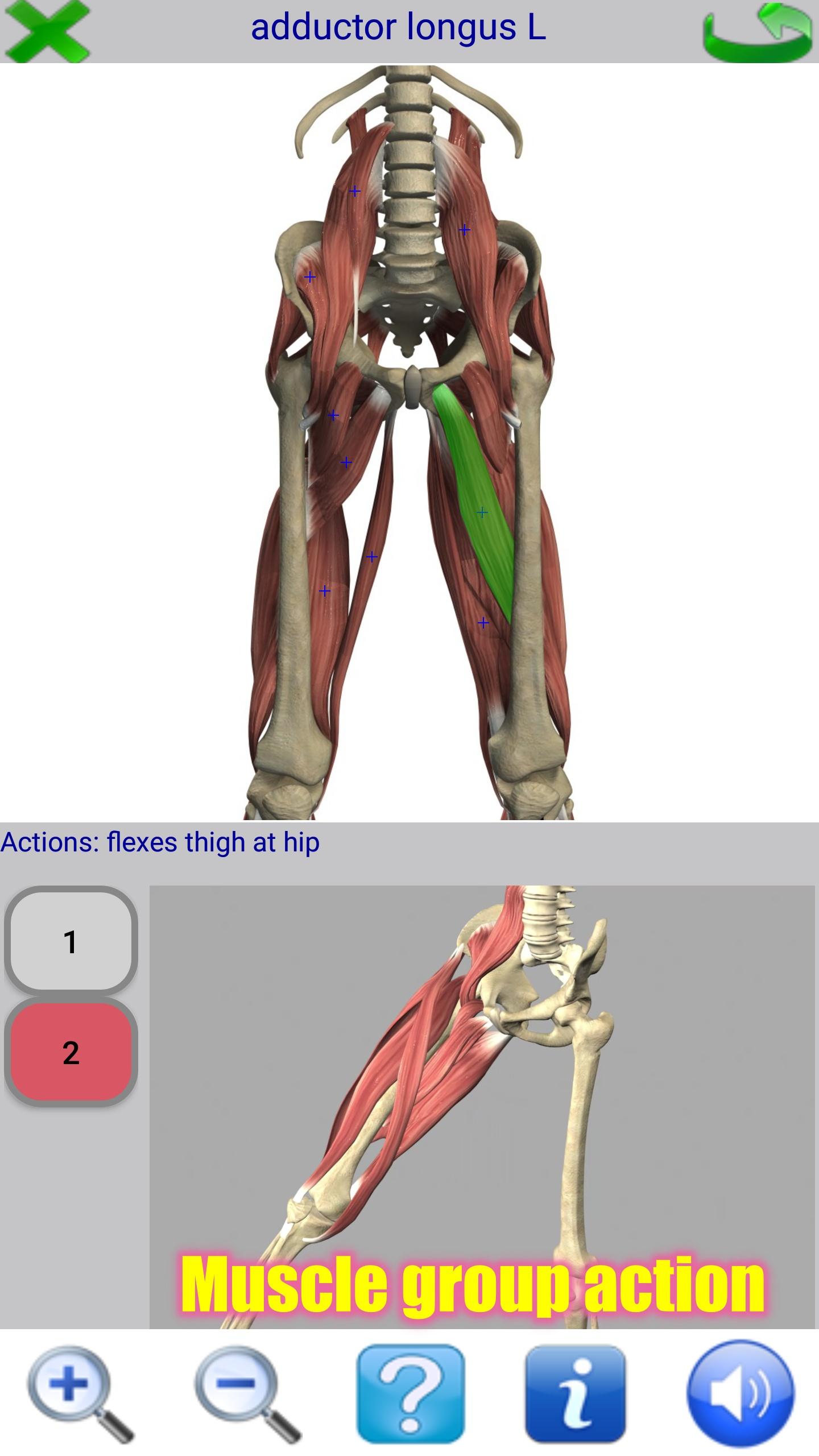 Android application Visual Anatomy screenshort