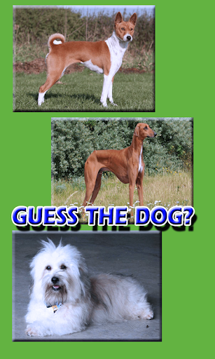 Dog Breeds Trivia Animal Quiz Screen 3