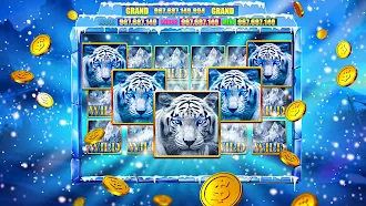 Game screenshot Slots Frenzy: Casino Game Live apk download