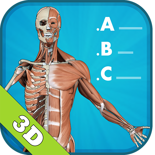 3D Human Anatomy Quiz - Ứng Dụng Trên Google Play