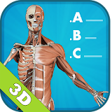 3D Human Anatomy Quiz icon