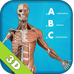Icon image 3D Human Anatomy Quiz