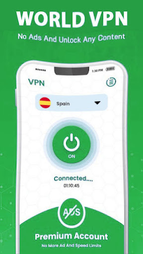 wVPN Client Screen 2