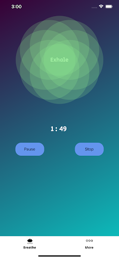 Mindful Breaths Screen 3