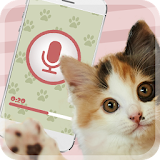 Кошачий разговорник icon