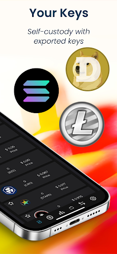 Vidulum - Crypto Web Wallet Screen 2