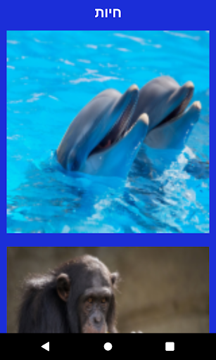 ללמוד אנגלית בכיף עם ערן