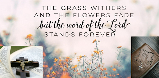 Bible Quotes Wallpapers 2023