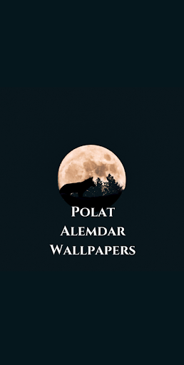Android application Kurtlar Vadisi Chaos Wallpaper screenshort