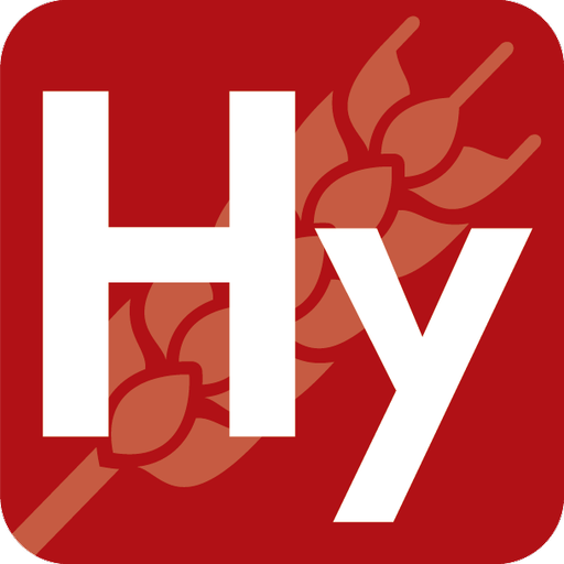 Hybridensity logo