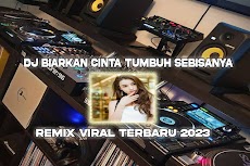 DJ Biarkan Cinta Tumbuhのおすすめ画像1