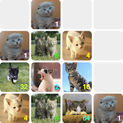 Meow Meow Woof Woof - 2048 With Animals